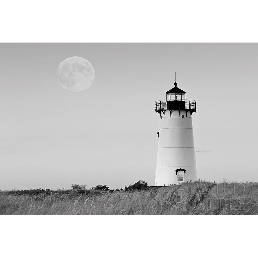 Moon over Marthas Vineyard BW Poster Print by Katherine Gendreau-VARPDX21426 Image 1