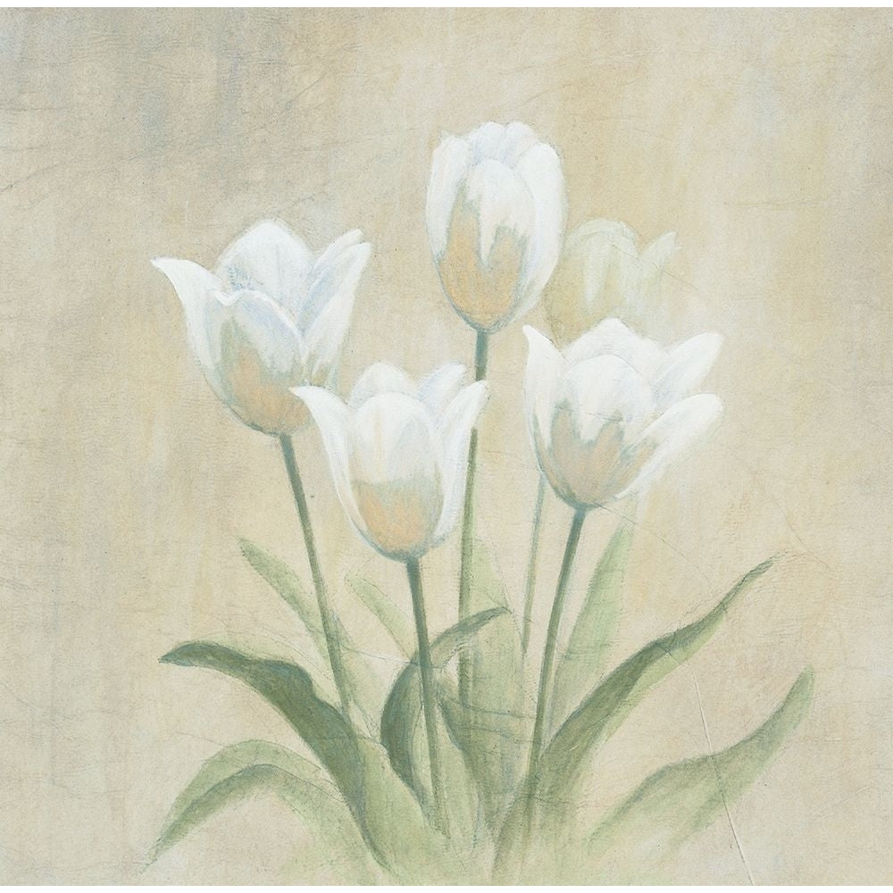 White Tulips Poster Print by Unknown Unknown-VARPDX21438 Image 1