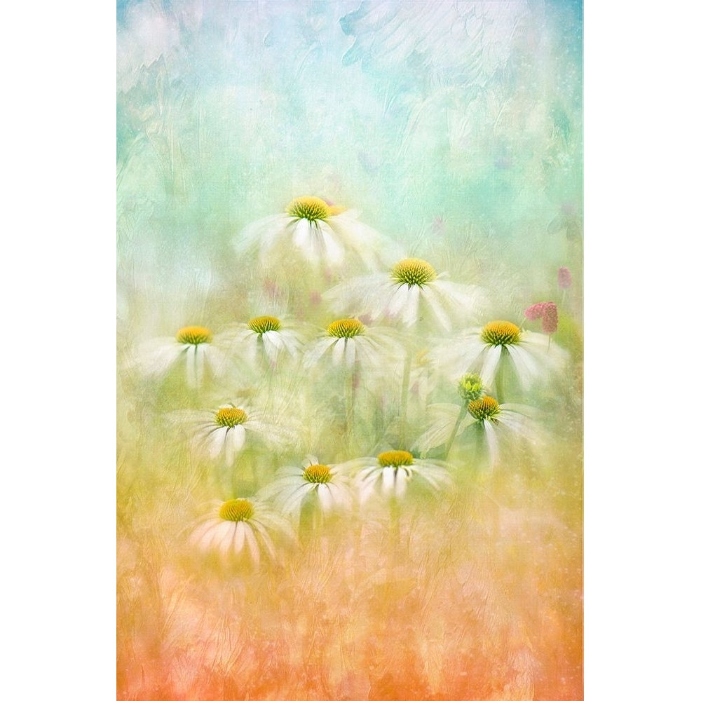 Subtle Summer Poster Print - Jacky Parker-VARPDX2149814 Image 1