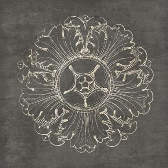 Rosette VI Gray Poster Print by Wild Apple Portfolio-VARPDX21578 Image 2