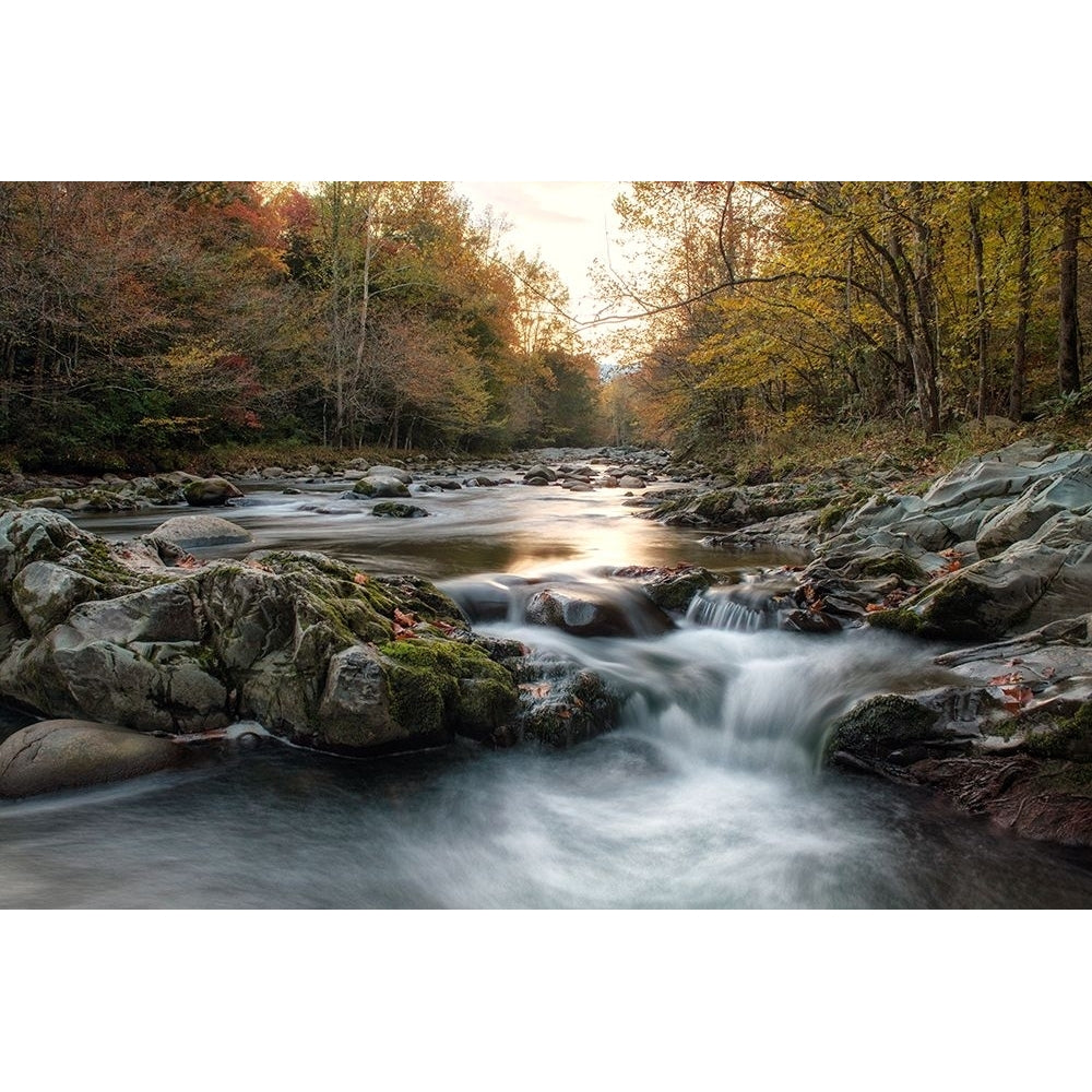 First Light at Greenbrier Poster Print - Danny Head-VARPDX216058 Image 1