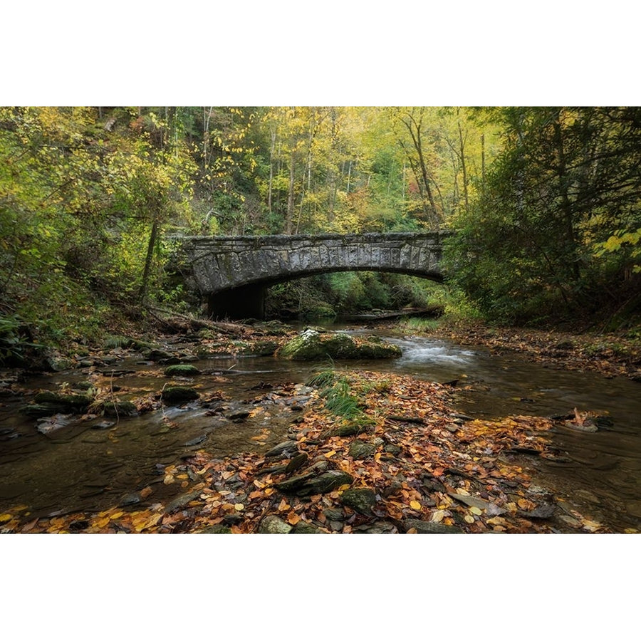 Arched Bridge Poster Print - Danny Head-VARPDX216437 Image 1