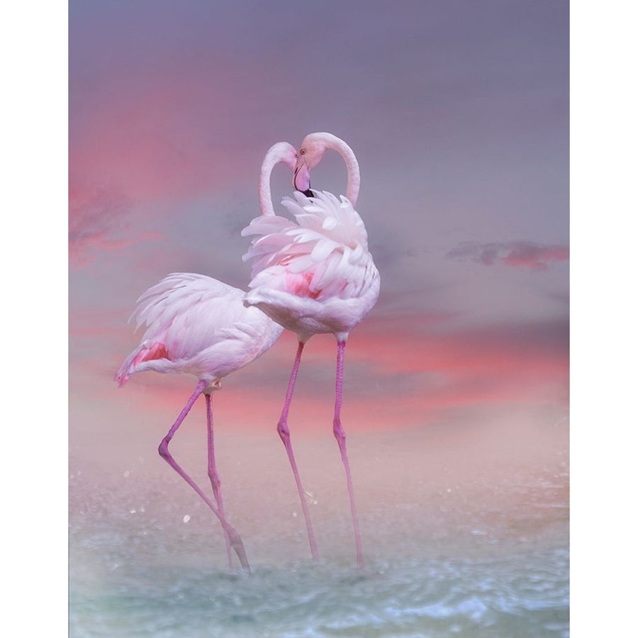 Flamingo Ballet Poster Print - Krystina Wisniowska-VARPDX2163227 Image 1