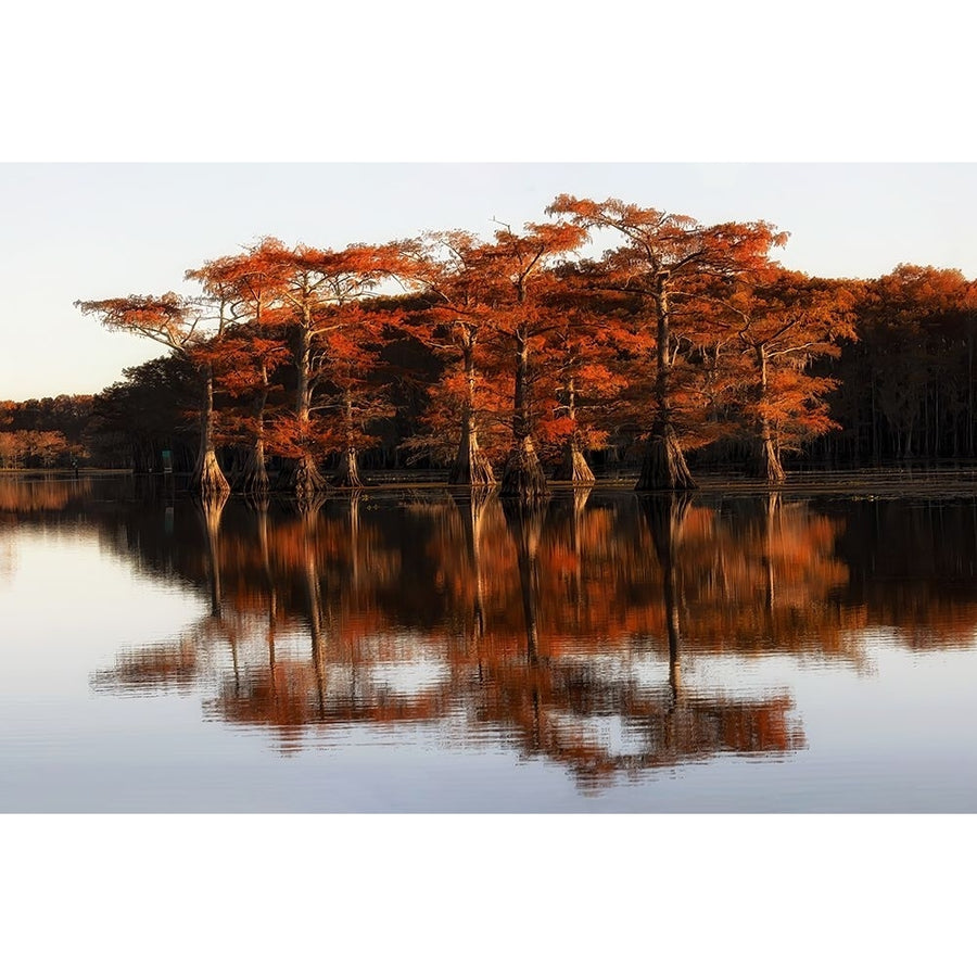 Reflection of Caddo Lake-VARPDX2171201 Image 1