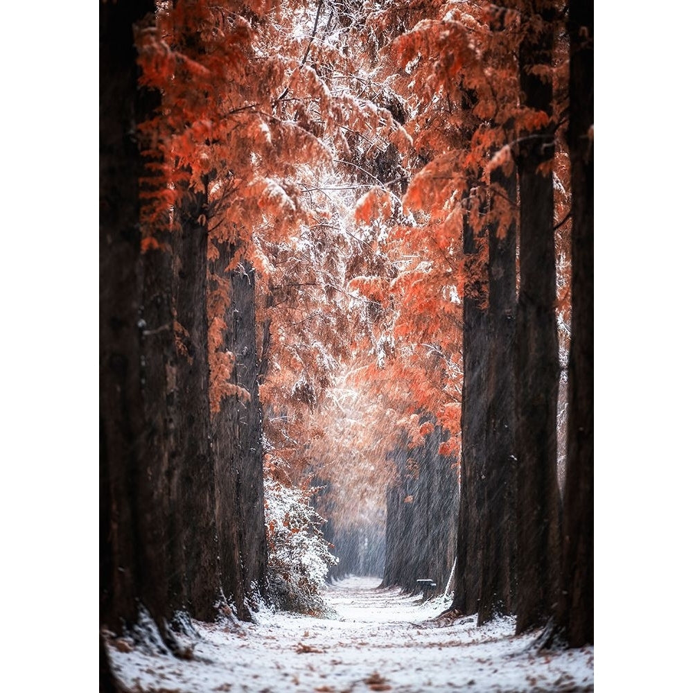 Snowy Day Poster Print - Tiger Seo-VARPDX2173375 Image 1