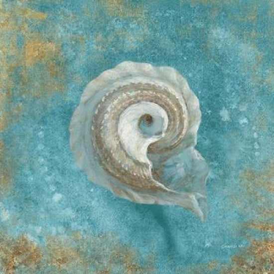 Treasures from the Sea III Aqua Poster Print by Danhui Nai-VARPDX21827 Image 1