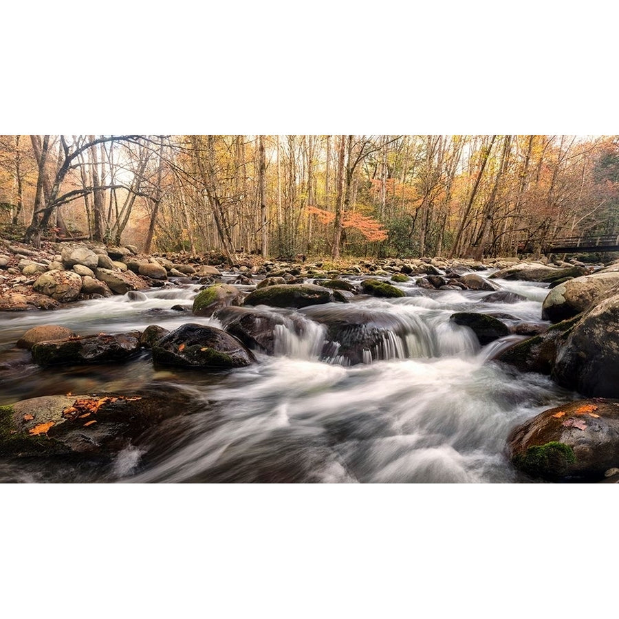 Autumn at Porters Creek Poster Print - Danny Head-VARPDX218512 Image 1