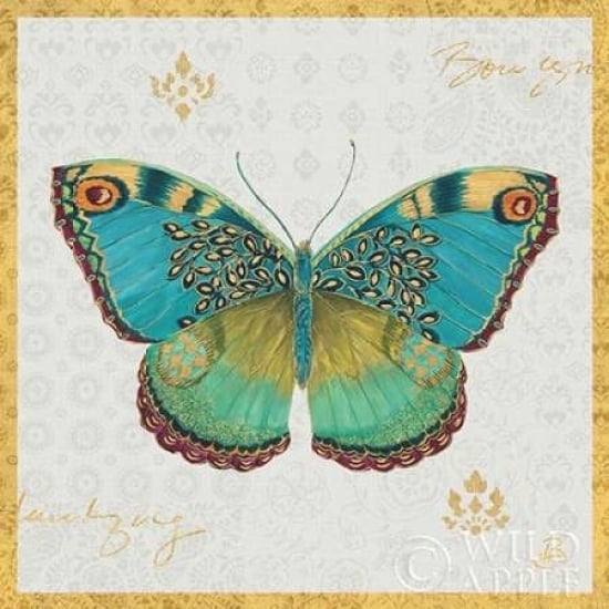 Bohemian Wings Butterfly I Poster Print by Daphne Brissonnet-VARPDX21856 Image 1