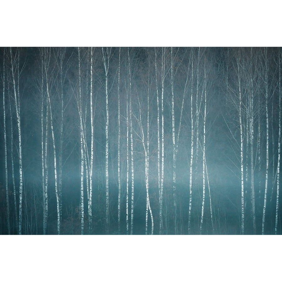 November Mood Poster Print - Christian Lindsten-VARPDX2188626 Image 1