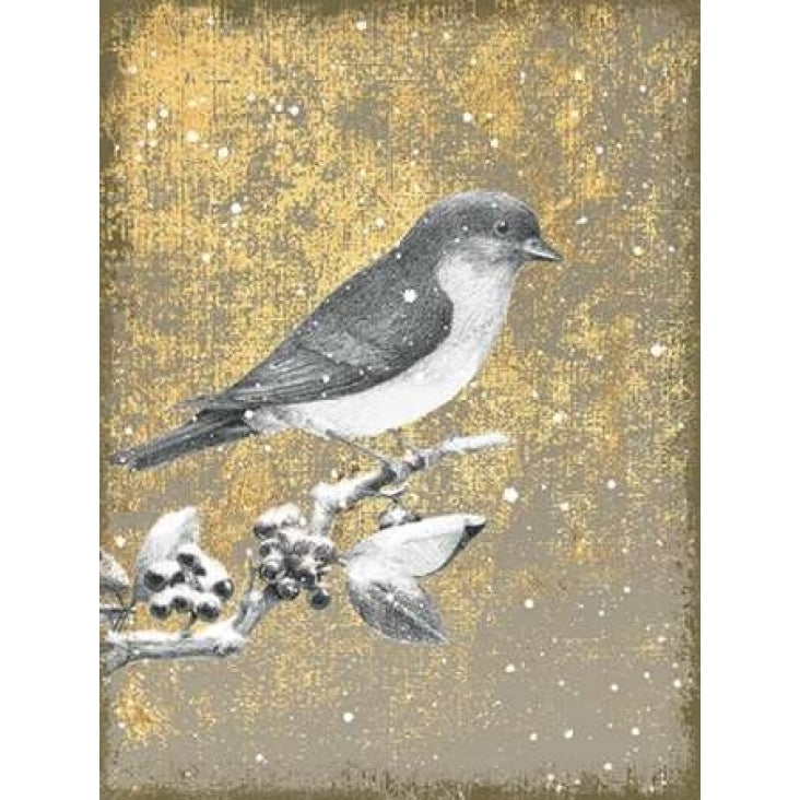 Winter Birds Bluebird Neutral Poster Print by Beth Grove-VARPDX21943 Image 1