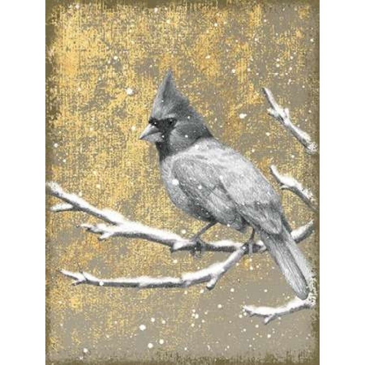 Winter Birds Cardinal Neutral Poster Print by Beth Grove-VARPDX21944 Image 1