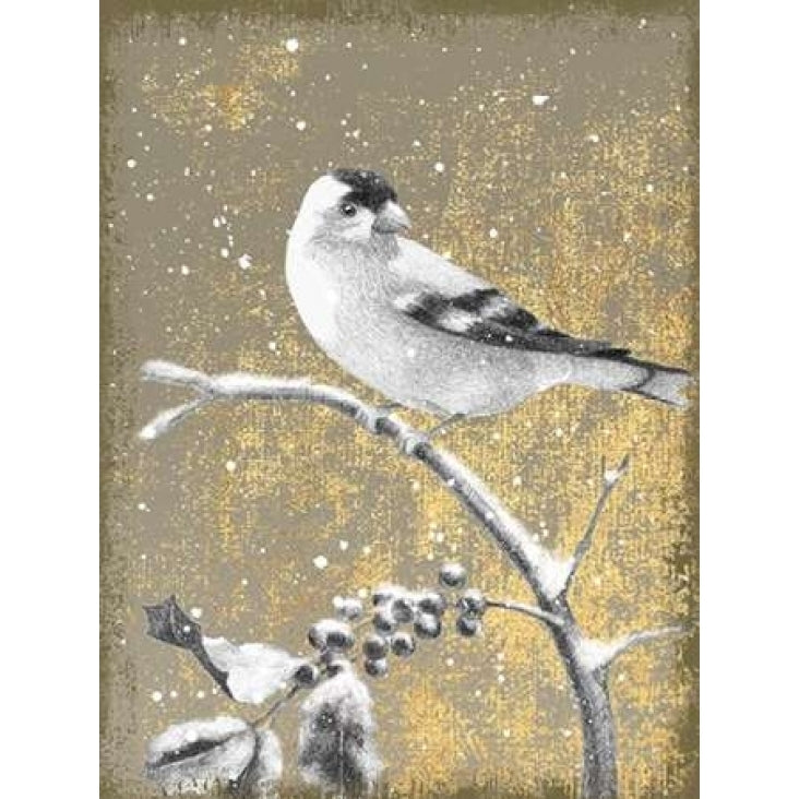 Winter Birds Goldfinch Neutral Poster Print by Beth Grove-VARPDX21949 Image 1