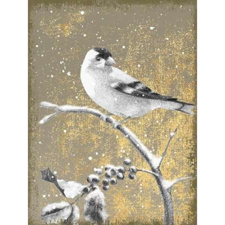 Winter Birds Goldfinch Neutral Poster Print by Beth Grove-VARPDX21949 Image 1