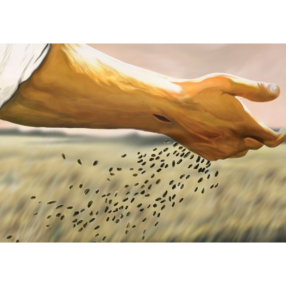 Seed Sower Poster Print by Unknown Unknown-VARPDX21952 Image 1