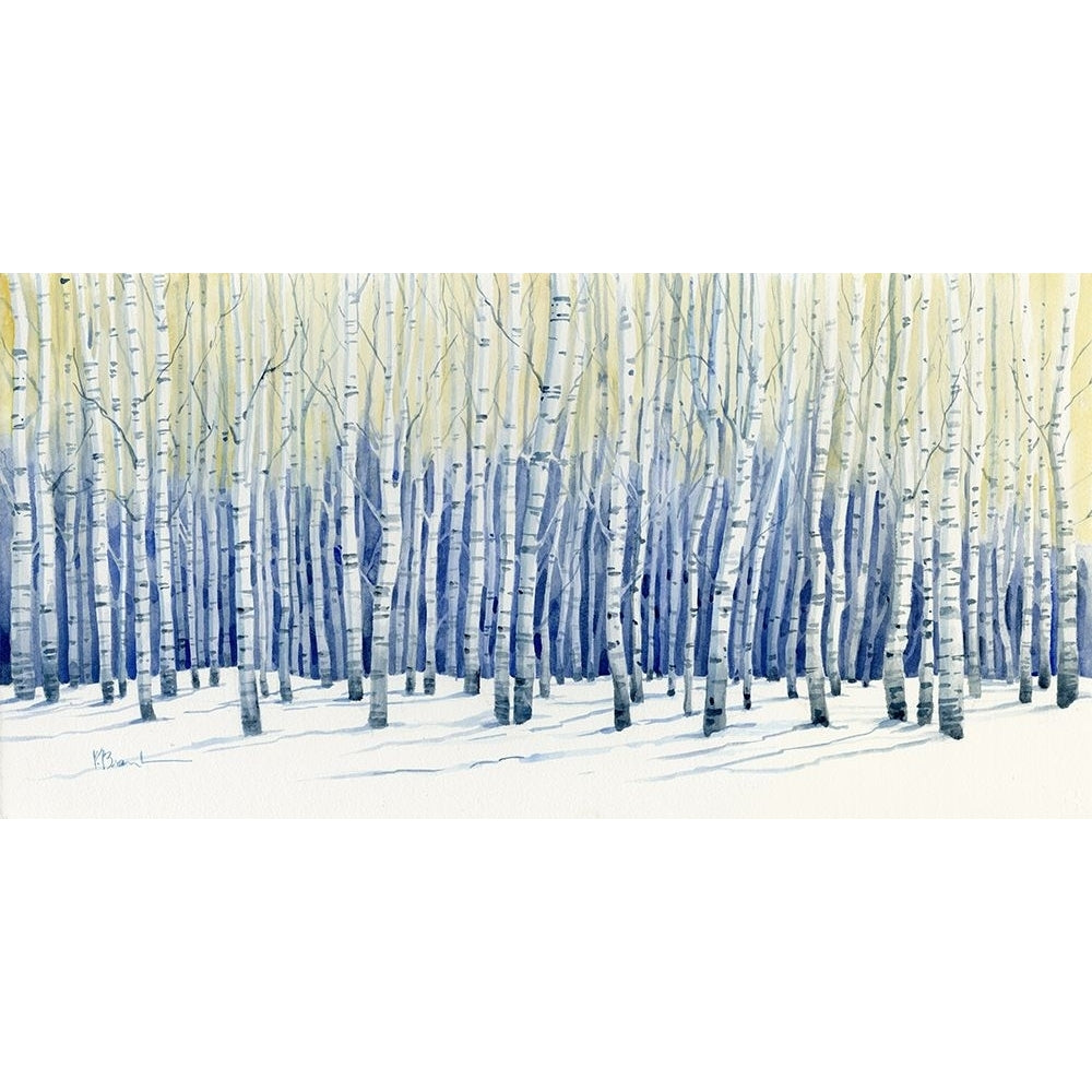 White Forest Poster Print - Paul Brent-VARPDX22033 Image 1