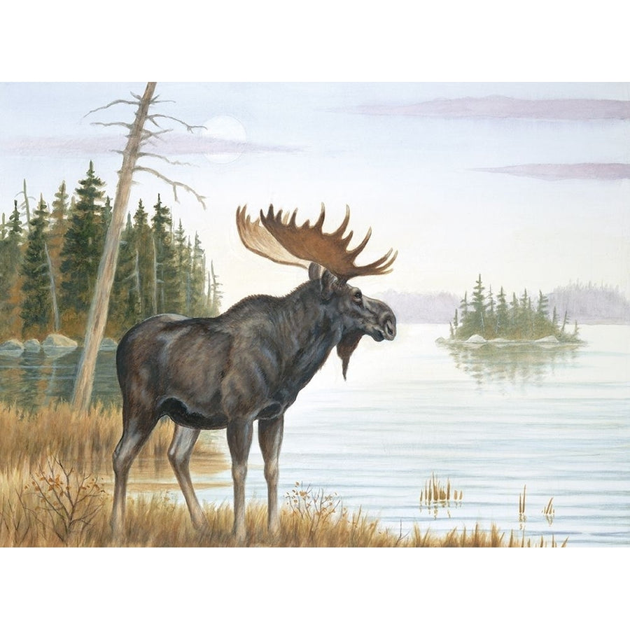 Misty Moose Poster Print by Unknown Unknown-VARPDX22039 Image 1