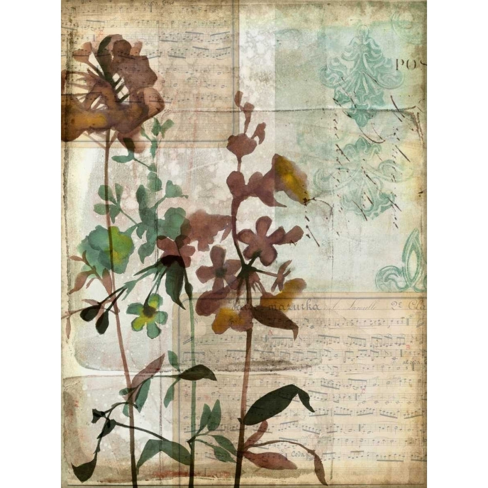 Music Box Floral I Poster Print - Jennifer Goldberger-VARPDX22172Z Image 1