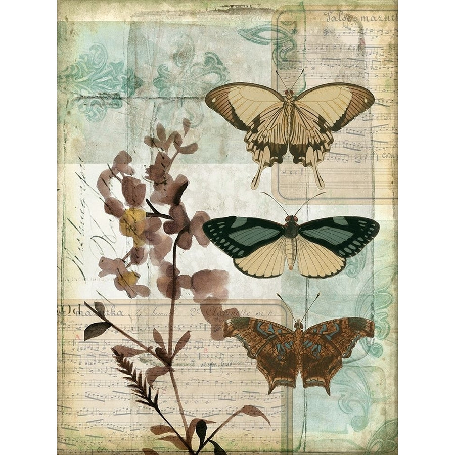 Music Box Butterflies II Poster Print - Jennifer Goldberger-VARPDX22175Z Image 1