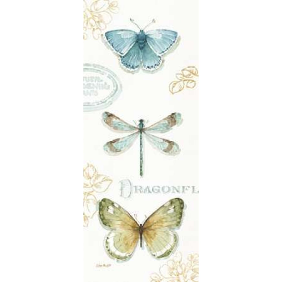 My Greenhouse Butterflies V Poster Print by Audit Lisa-VARPDX22212 Image 1