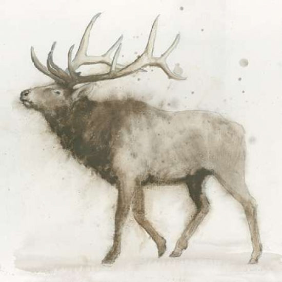 Elk v.2 Poster Print by James Wiens-VARPDX22259 Image 1