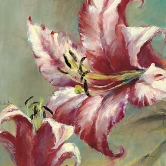 Blooming Lily Poster Print by Brent Heighton-VARPDX222HEI1042 Image 1