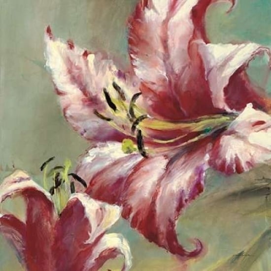 Blooming Lily Poster Print by Brent Heighton-VARPDX222HEI1042 Image 1