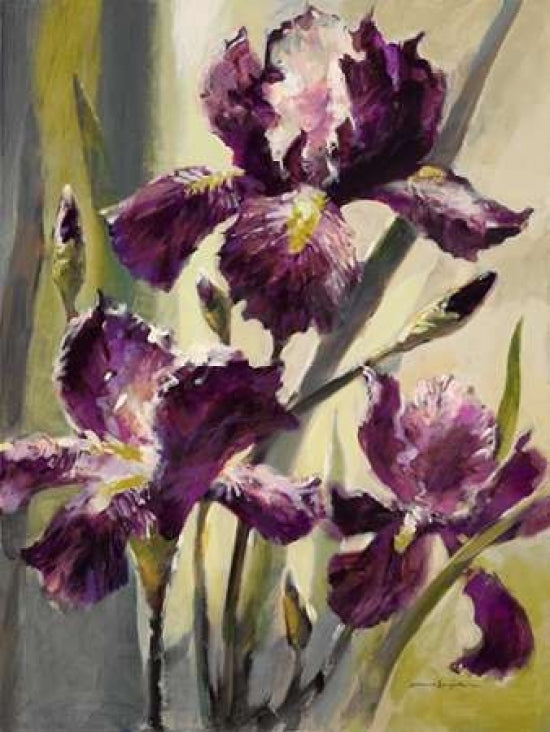 Ambient Iris 3 Poster Print by Brent Heighton-VARPDX222HEI1079 Image 1