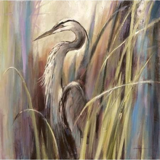 Coastal Heron Poster Print by Brent Heighton-VARPDX222HEI1083 Image 1