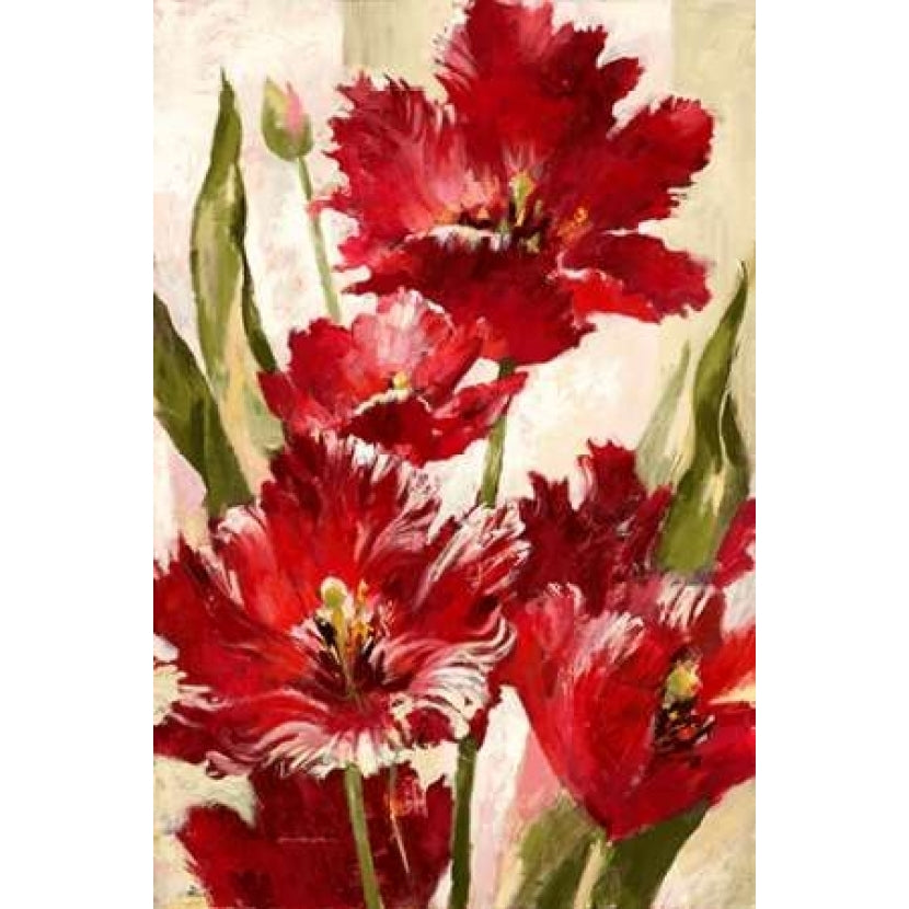 Jubilant Red Tulip Poster Print by Brent Heighton-VARPDX222HEI1086A Image 1