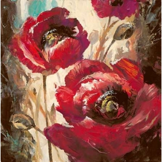 Dramatic Poppy Poster Print by Brent Heighton-VARPDX222HEI1090 Image 1