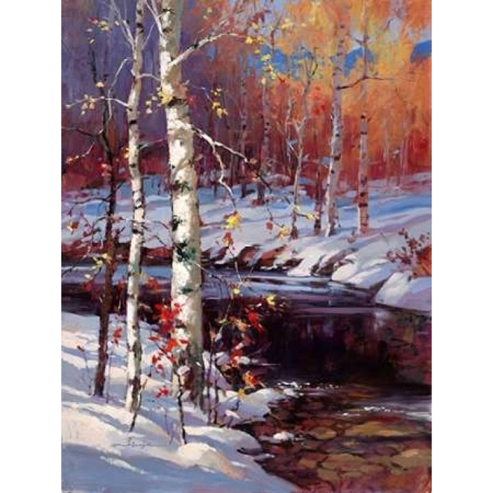 Snowy Birch Poster Print by Brent Heighton-VARPDX222HEI1104 Image 1