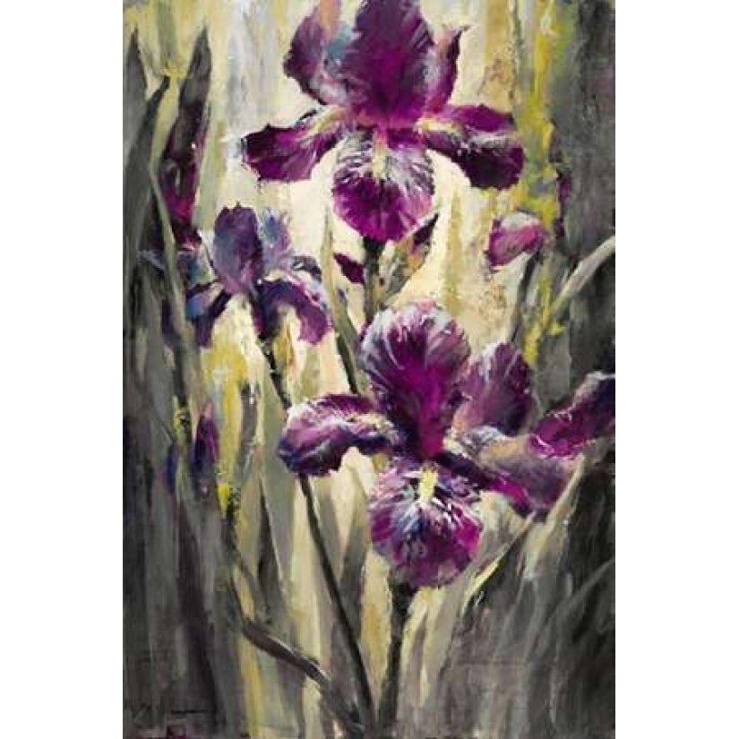 Ambient Iris 2 Poster Print by Brent Heighton-VARPDX222HEI1108 Image 2