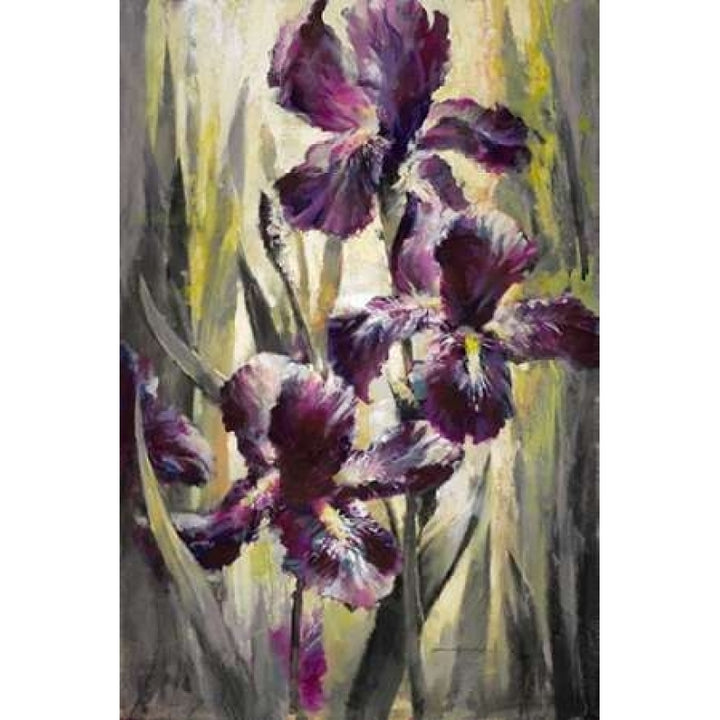 Ambient Iris 1 Poster Print by Brent Heighton-VARPDX222HEI1107 Image 1