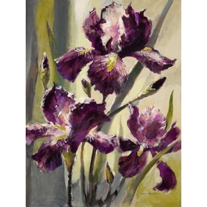 Ambient Iris 3 Poster Print by Brent Heighton-VARPDX222HEI1079 Image 2