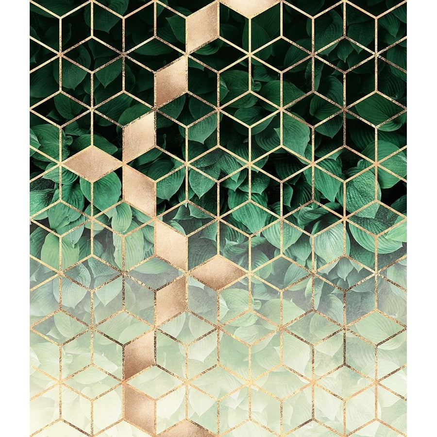 Leaves And Cubes Poster Print - Elisabeth Fredriksson-VARPDX2231940 Image 1