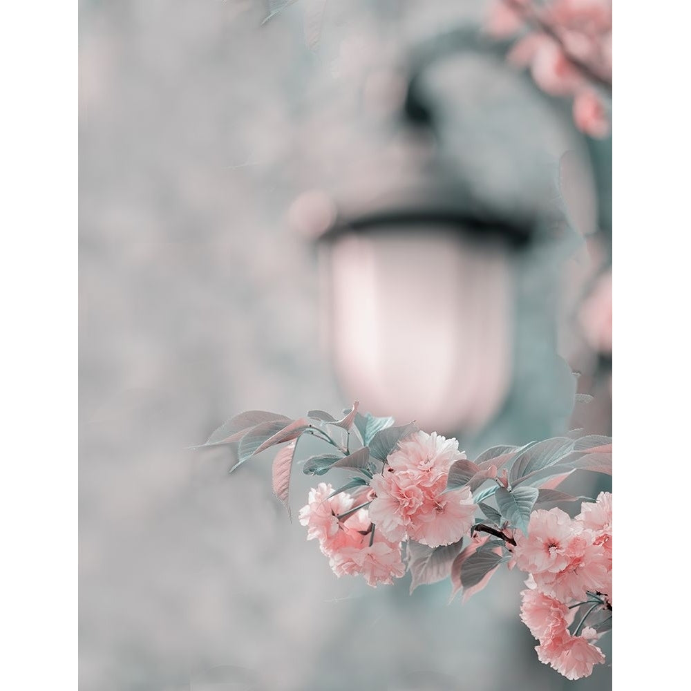 Cherry Blossom Under Street Lamp Poster Print - Betty Liu-VARPDX2233820 Image 1