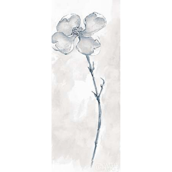 Solitary Dogwood III Gray Poster Print by Chris Paschke-VARPDX22366 Image 1