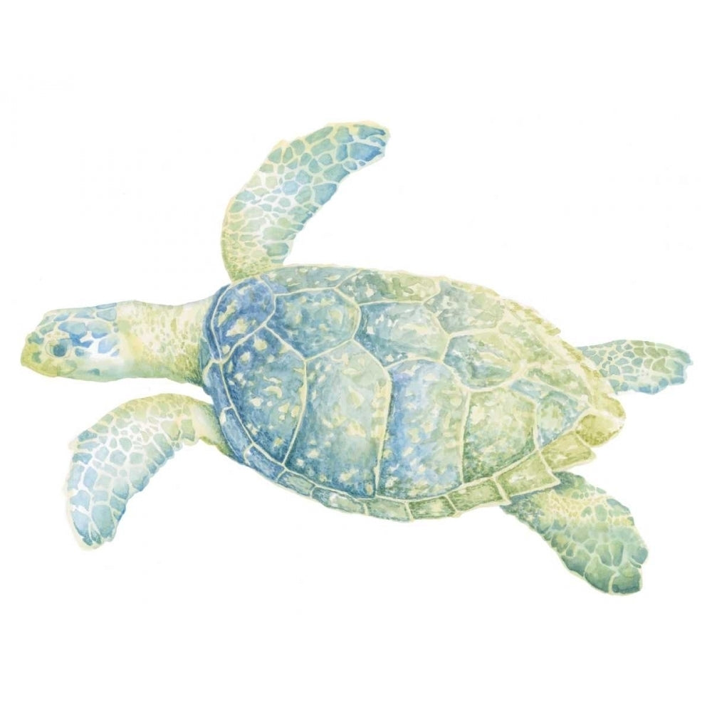 Tranquil Sea Turtle II Poster Print - Megan Meagher-VARPDX22374Z Image 1