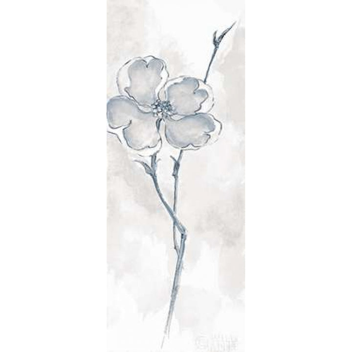 Solitary Dogwood II Gray Poster Print by Chris Paschke-VARPDX22365 Image 2