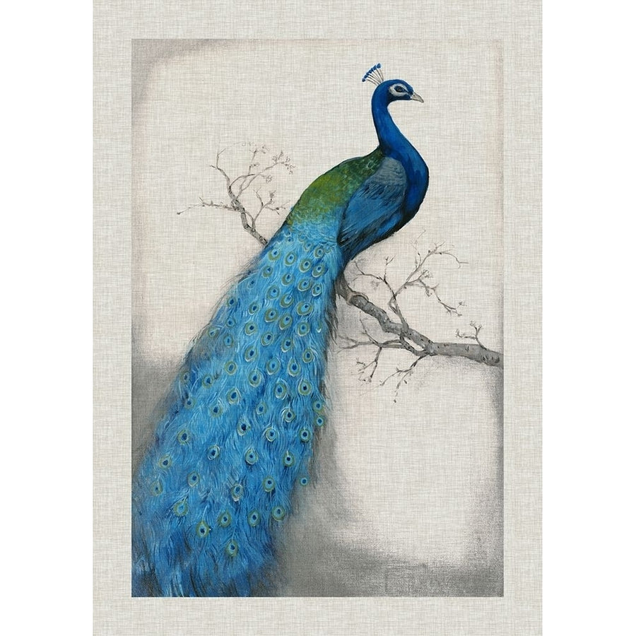 Custom Peacock Blue I-VARPDX22425VM Image 1