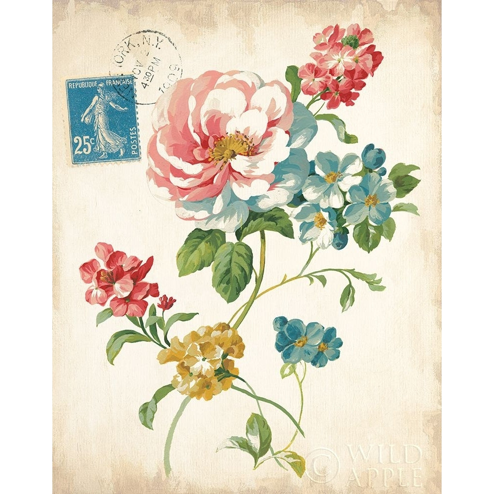 Elegant Floral I Vintage V2 Poster Print by Danhui Nai-VARPDX22471 Image 1