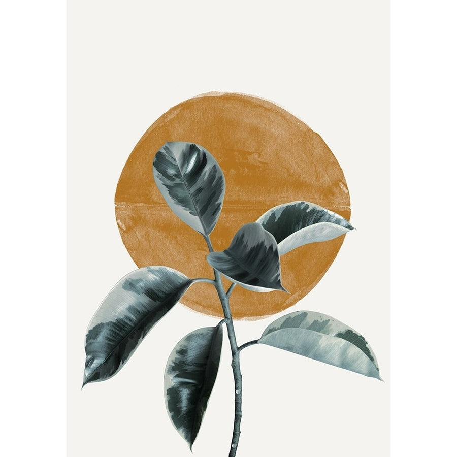 Sun and Ficus Poster Print - The Miuus Studio-VARPDX2260809 Image 1