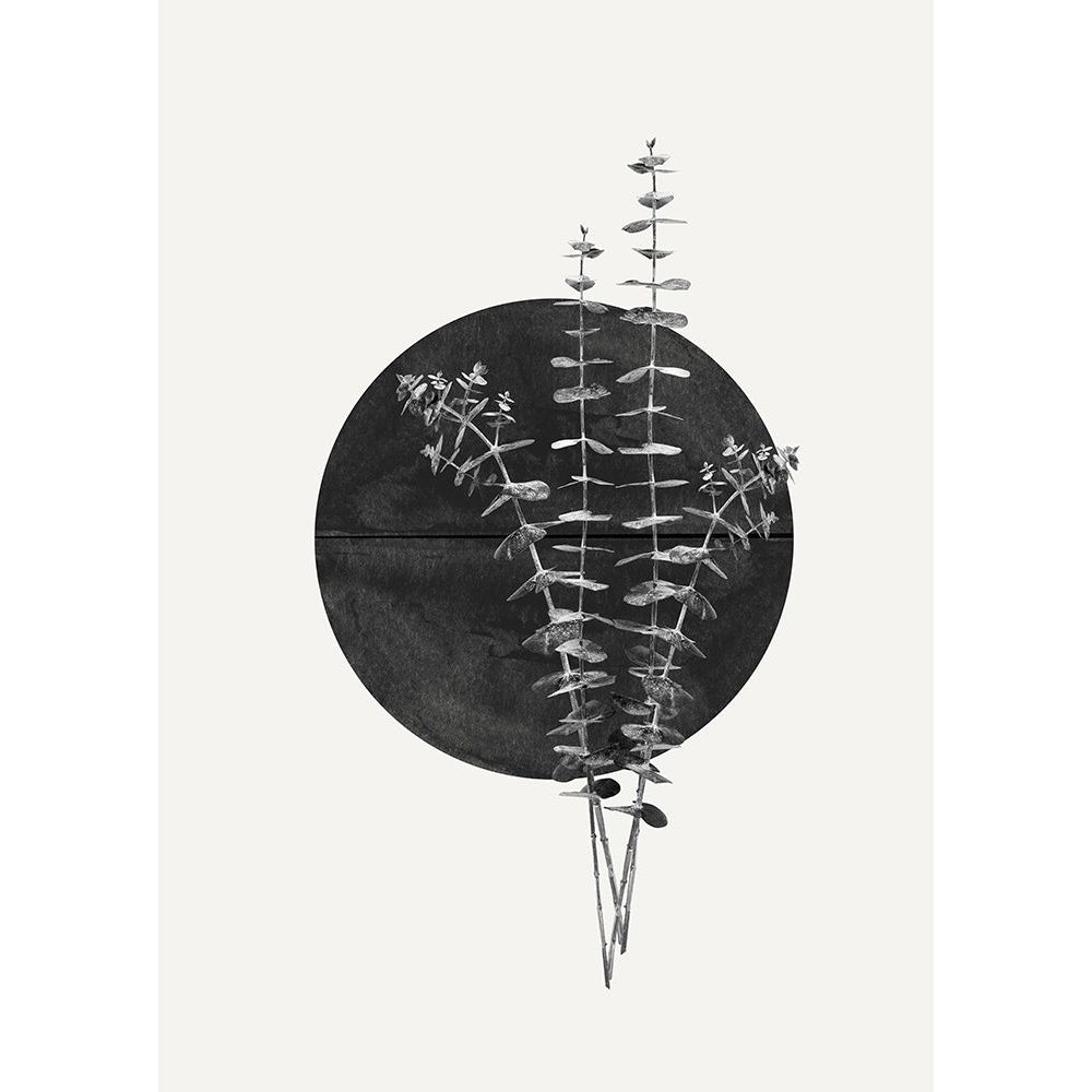 Plant and Black Sun Poster Print - The Miuus Studio-VARPDX2260818 Image 1