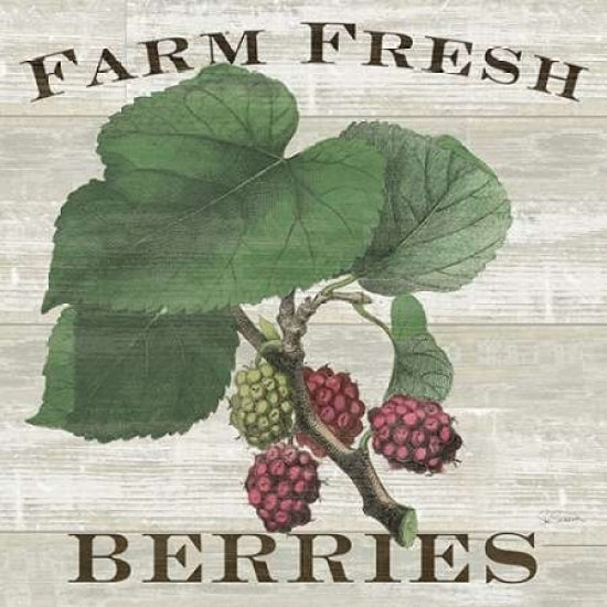 Farm Fresh Raspberries Poster Print by Sue Schlabach-VARPDX22660 Image 1