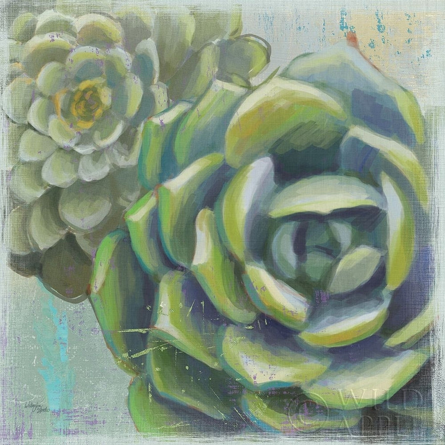 Succulents II Poster Print by Wellington Studio-VARPDX22672 Image 1