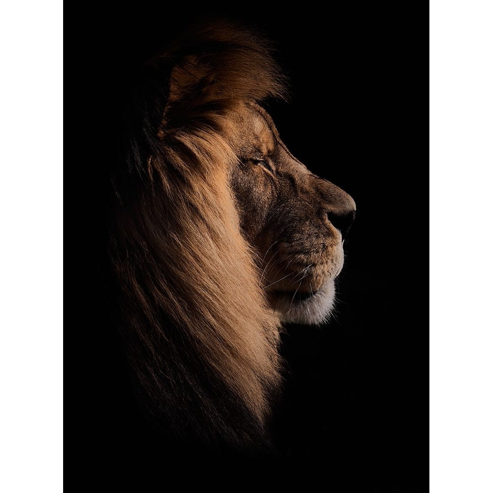 Sleeping King Poster Print - Peter Schade-VARPDX2274863 Image 1