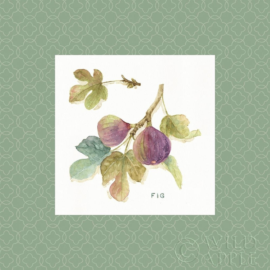 Orchard Bloom Iii Border Poster Print by Lisa Audit-VARPDX22797 Image 1