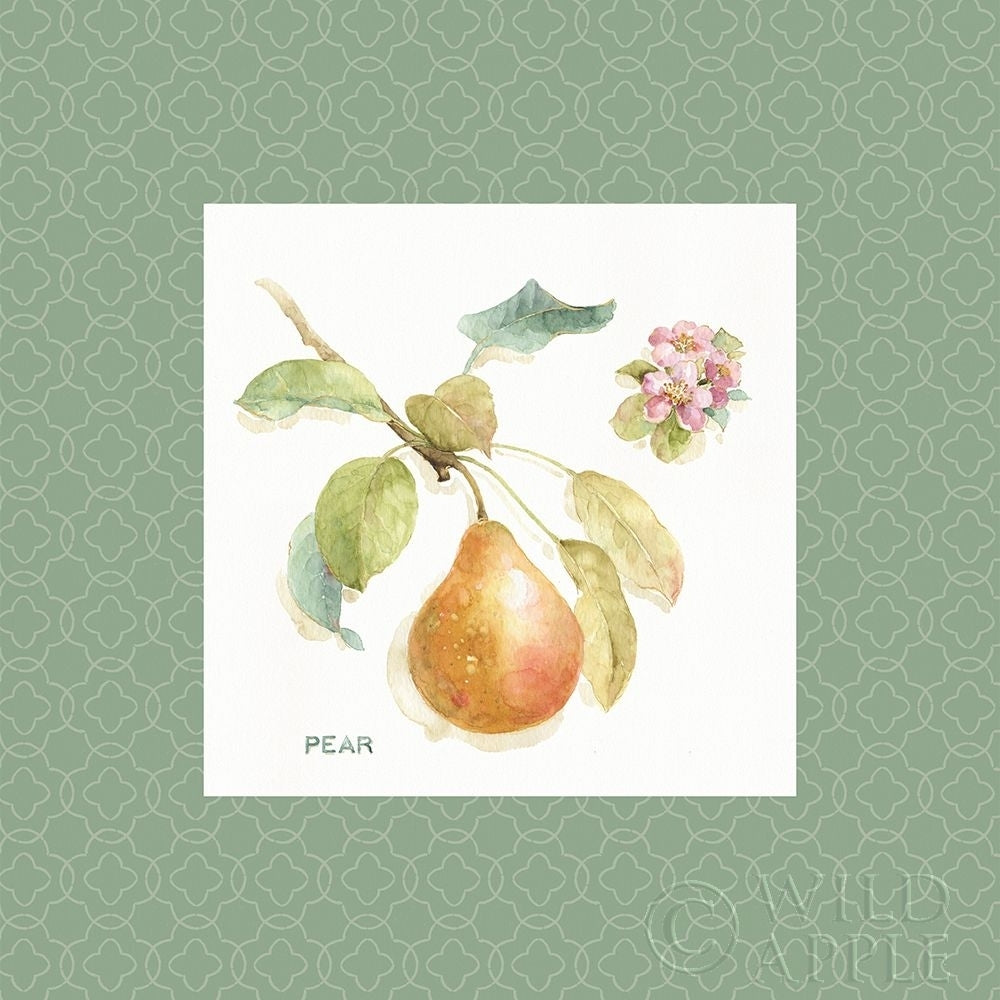 Orchard Bloom Ii Border Poster Print by Lisa Audit-VARPDX22796 Image 1