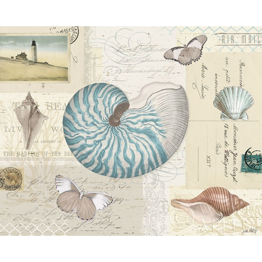 Beach Wonders I Poster Print by Katie Pertiet-VARPDX22856 Image 1