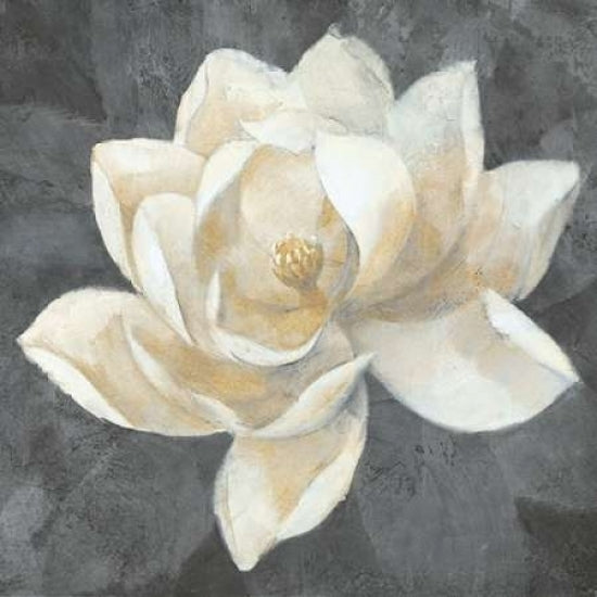 Majestic Magnolia Neutral Sq Poster Print by Albena Hristova-VARPDX23185 Image 1